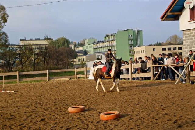 Hubertus 2009
